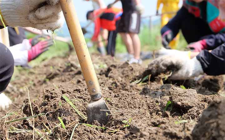 minori farm（みのりファーム）