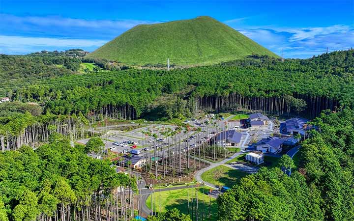 RVパーク 伊東 奏の森リゾート