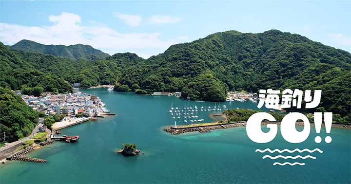 海釣りGO 安良里漁港