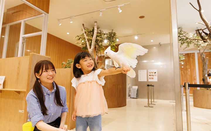 Moff animal cafe ららぽーと甲子園店