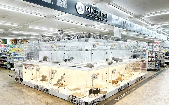 P’s-first上尾店