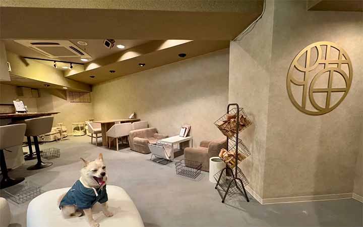 夜音喫茶 猫奈落