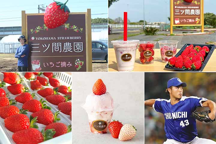 三ツ間農園 横浜髙島屋店