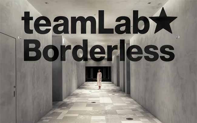 #teamLabBorderless