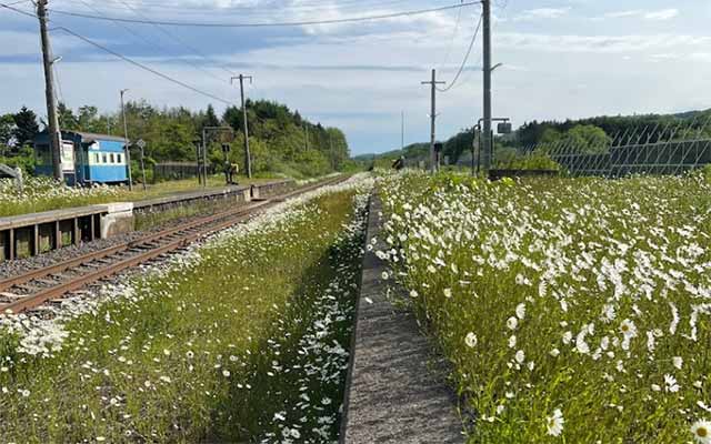 JR北海道 函館本線 中ノ沢駅