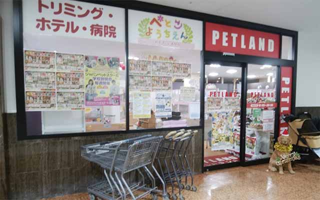 ペットランド手稲前田店