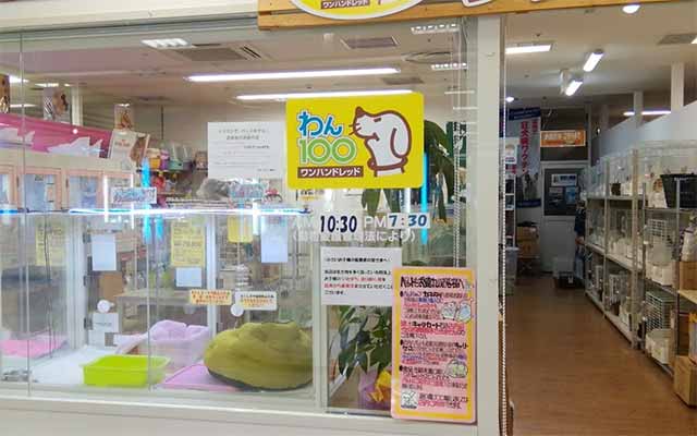 わん100三郷店