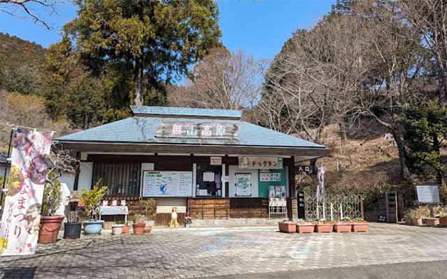 花の奥山高原