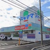 ドラッグスギヤマ柏森店