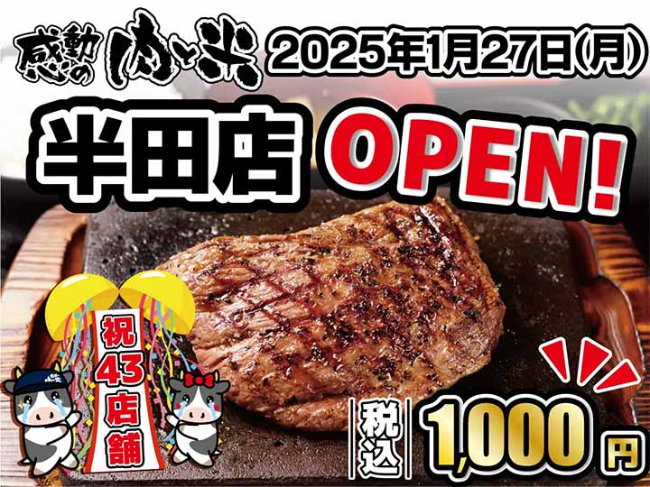 感動の肉と米 半田店