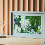 カナックスストア 渋谷店