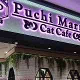 猫カフェPuchiMarryイオンモール大牟田店