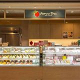 ARROW TREE 芦屋モンテメール店