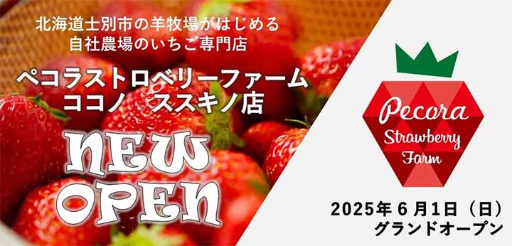 ペコラストロベリーファーム ココノ ススキノ店