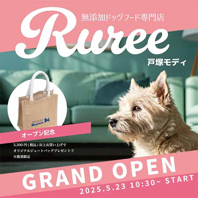 Ruree 戸塚モディ店