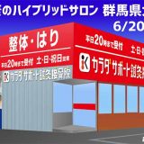 カラダサポート鍼灸接骨院太田藤阿久店 瘦身&小顔専門サロン ビオラス太田藤阿久店