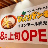 びっくりドンキーイオン鹿児島店