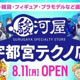 駿河屋 宇都宮テクノ店