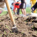 minori farm（みのりファーム）