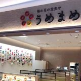 梅の花の定食や うめまめ くずはモール店