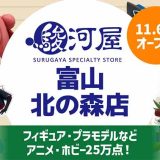 駿河屋 富山 北の森店
