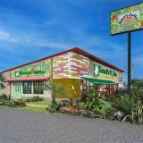 コナズ珈琲 岡崎美合店