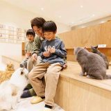 Cat Café MOFF イオンモール川口前川店