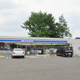 ローソン 宇都宮石井町殿田店