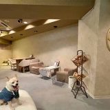 夜音喫茶 猫奈落