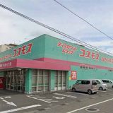 ドラッグストアコスモス東郡元店