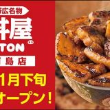 元祖豚丼屋TONTON 新三河島店
