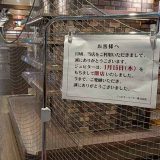 ジュピターコーヒーくるふ福井駅店