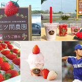 三ツ間農園 横浜髙島屋店