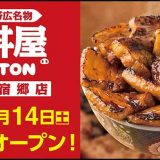 元祖豚丼屋TONTON 宇都宮宿郷店