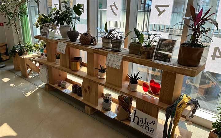 共創ラボカフェ SAYAMA CROSS　