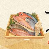 炉端 さかずき