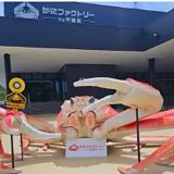 かにファクトリー 甲羅組