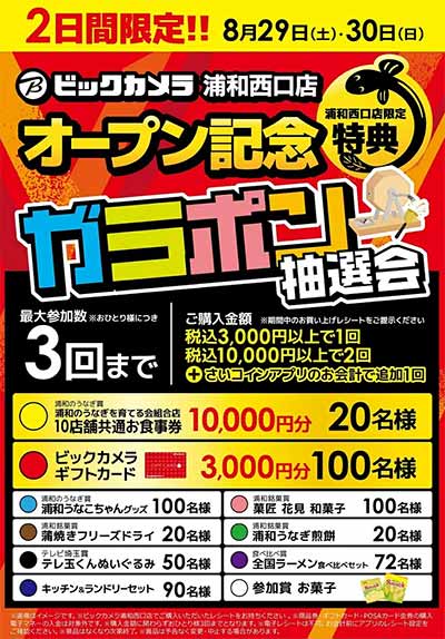 ビックカメラ浦和西口店