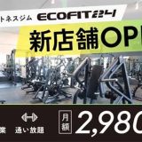 ECOFIT24 鴻巣吹上店